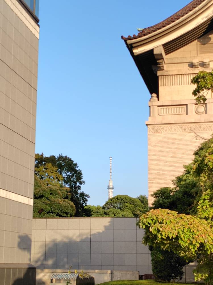 夏日？