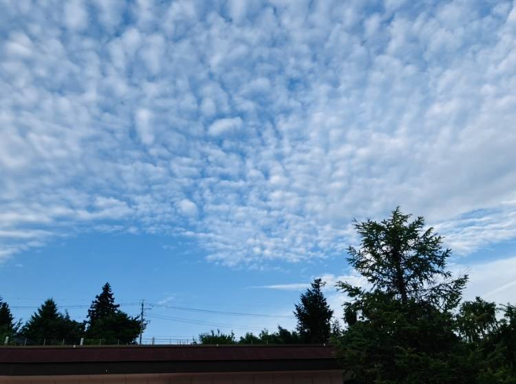 招かれざる客！？