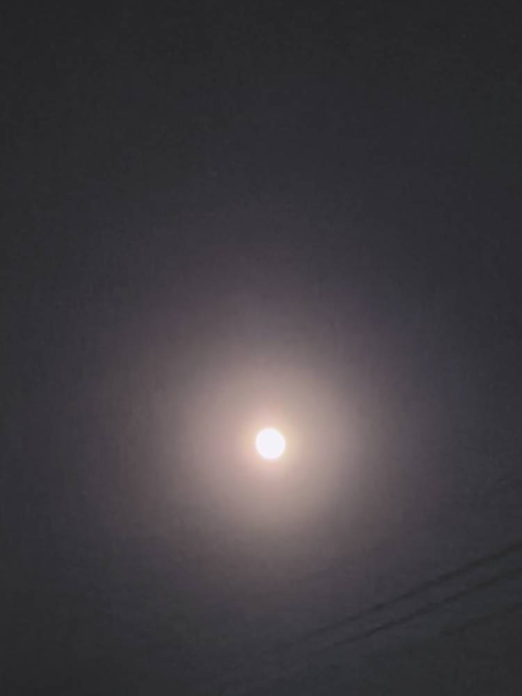 昨日が満月
