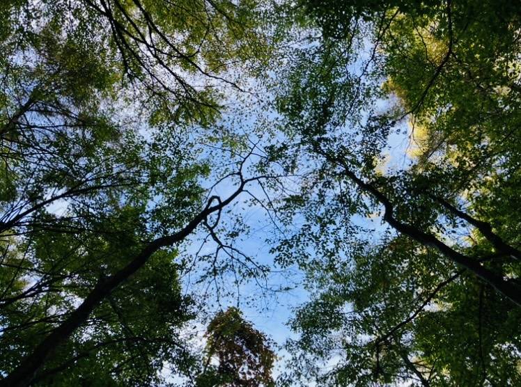 三度目の正直！？