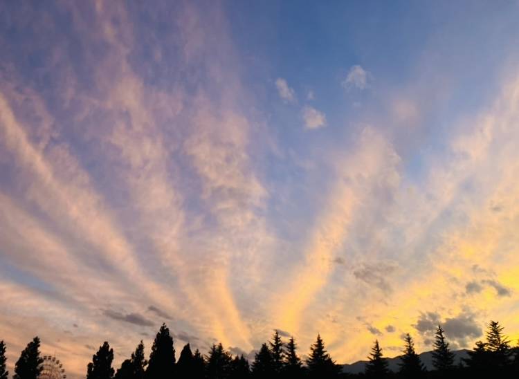 さくら出勤しました