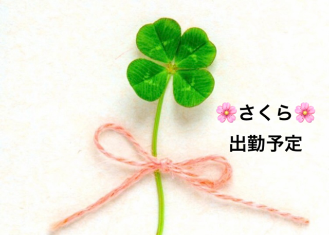 さくら今週のシフト