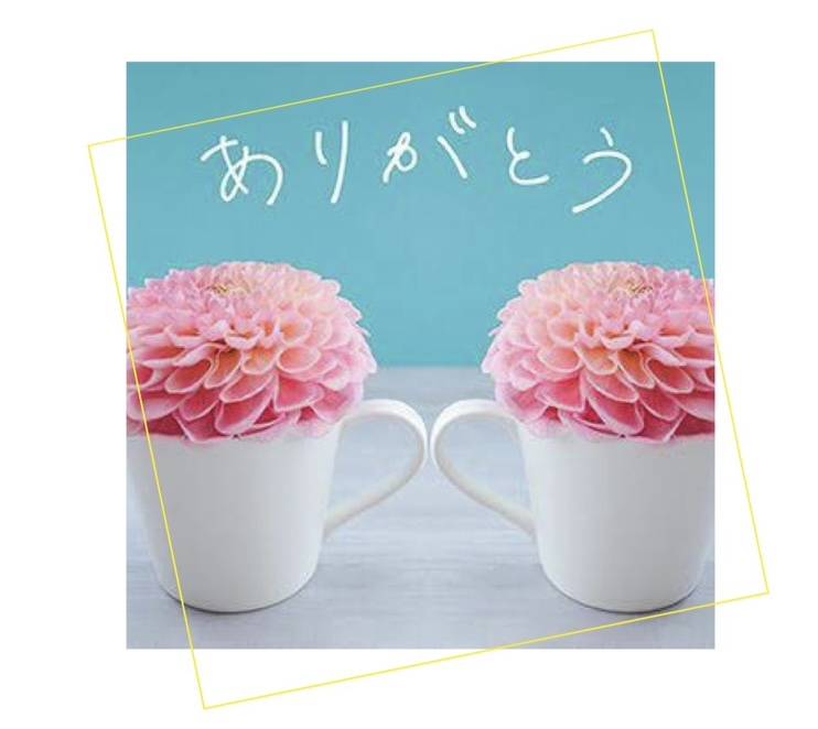 ５年10ヶ月ぶり