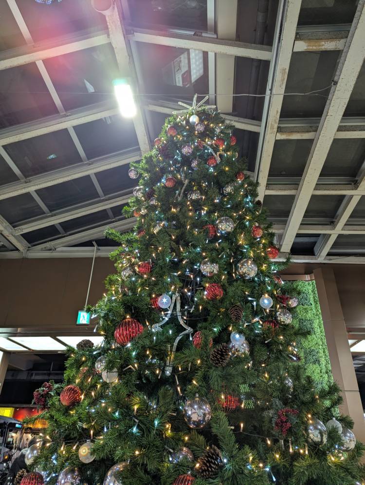 やよい（大塚 虹いろ回春）