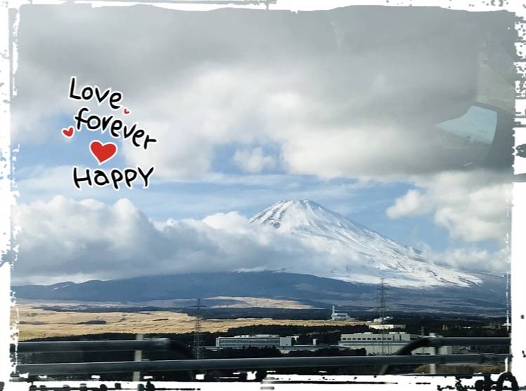 本年も宜しくお願いいたします