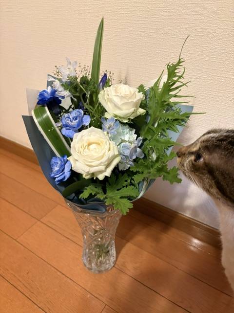 ひびき(大塚 虹いろ回春)