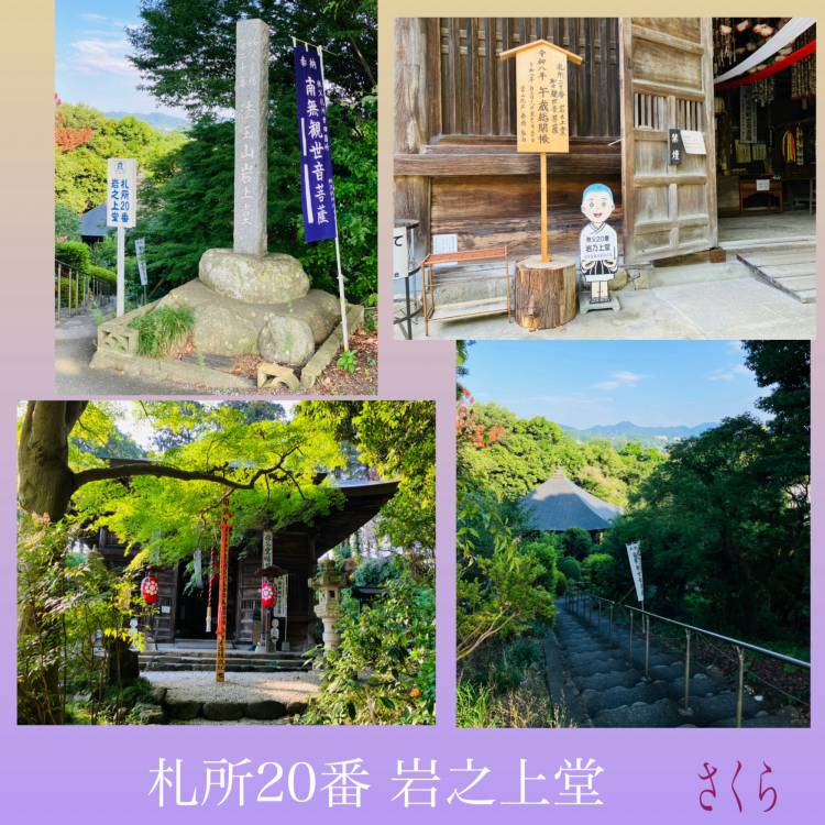 さくら(大塚 虹いろ回春)