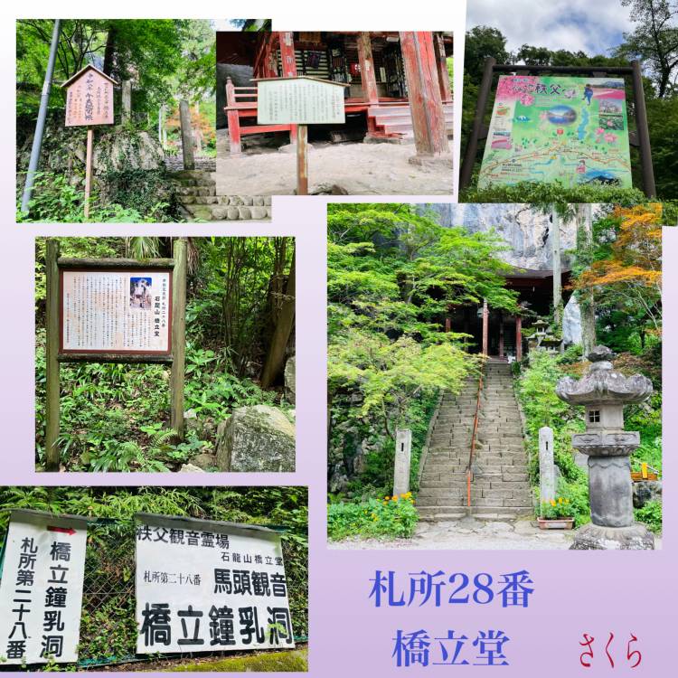 さくら(大塚 虹いろ回春)