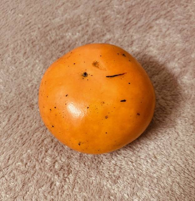 柿食えば、よりも