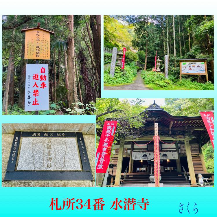 さくら(大塚 虹いろ回春)