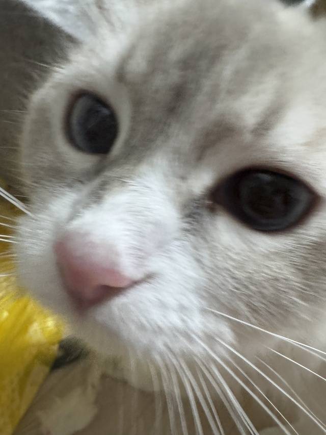 会えて嬉しい気持ちはいつも変わらないよ💫