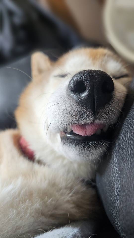 なんかりんかさ、……