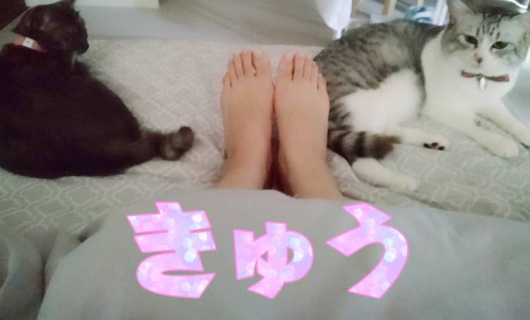 ある日の朝