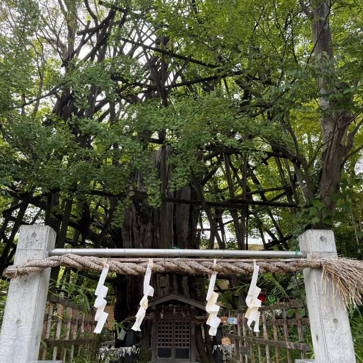 きさらぎ（ハピネス水戸）