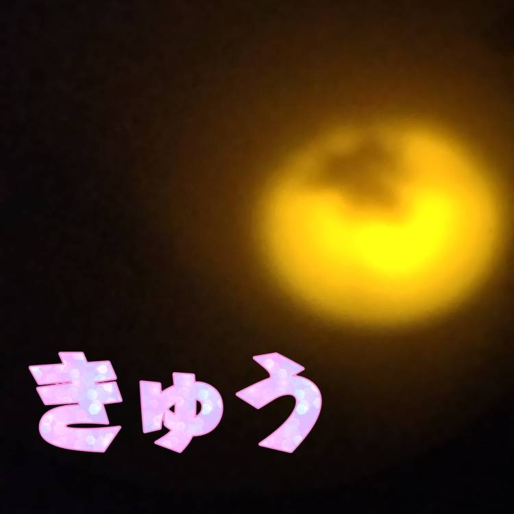 謎の影