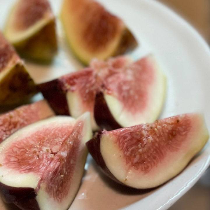 出勤です?