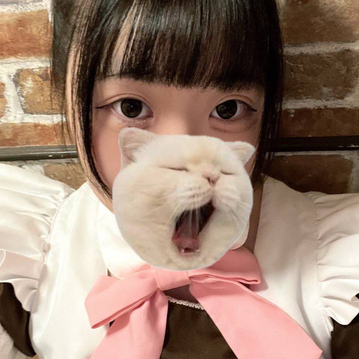 明日から3日間、水戸に行きます??