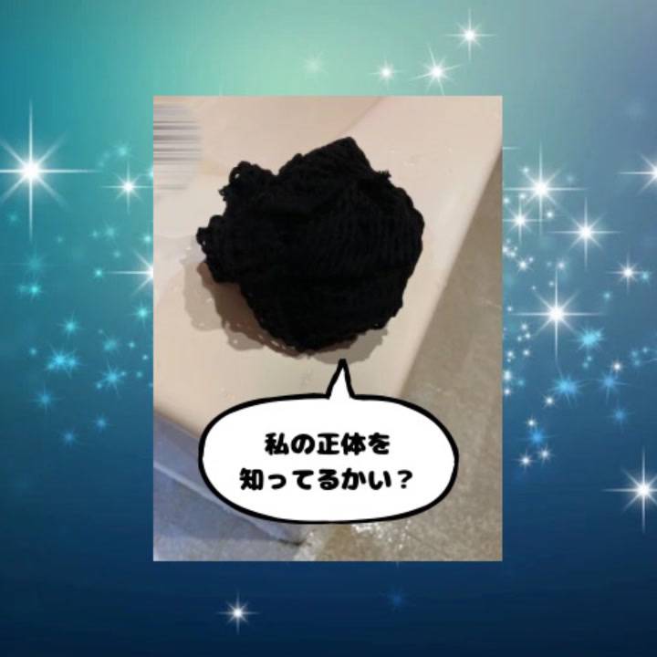 背景を星柄にしてる理由は、四ツ星を目指してるから????????