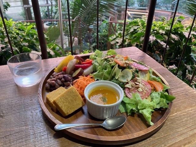 1月後半の予定☆