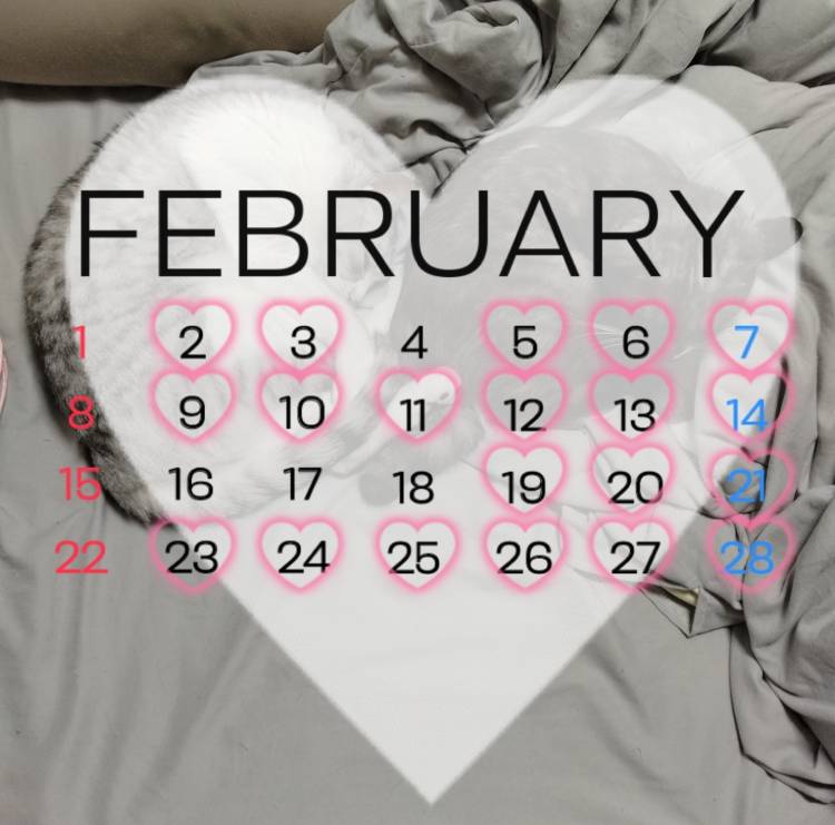 2月の予定♪?