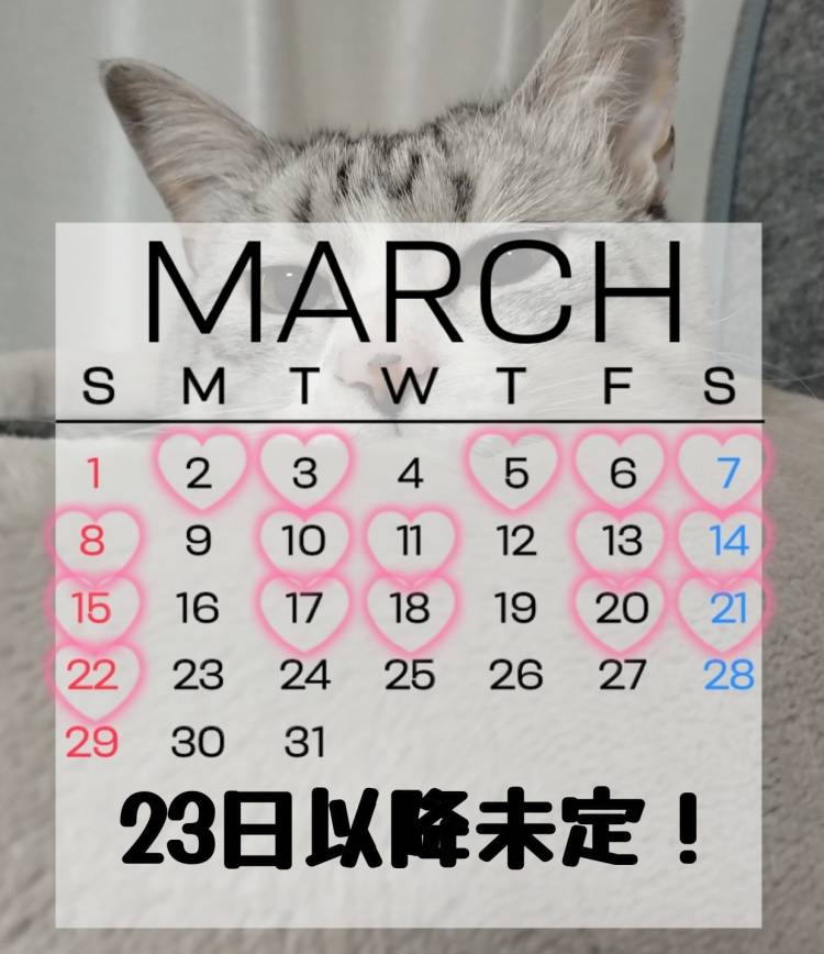 3月シフト!