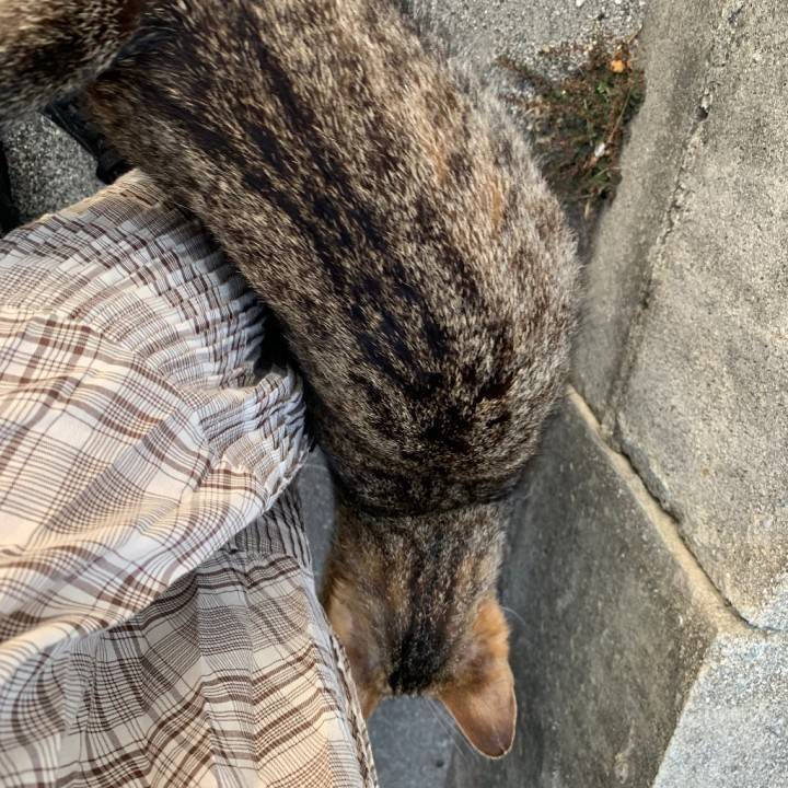 まなみ(ハピネス水戸)