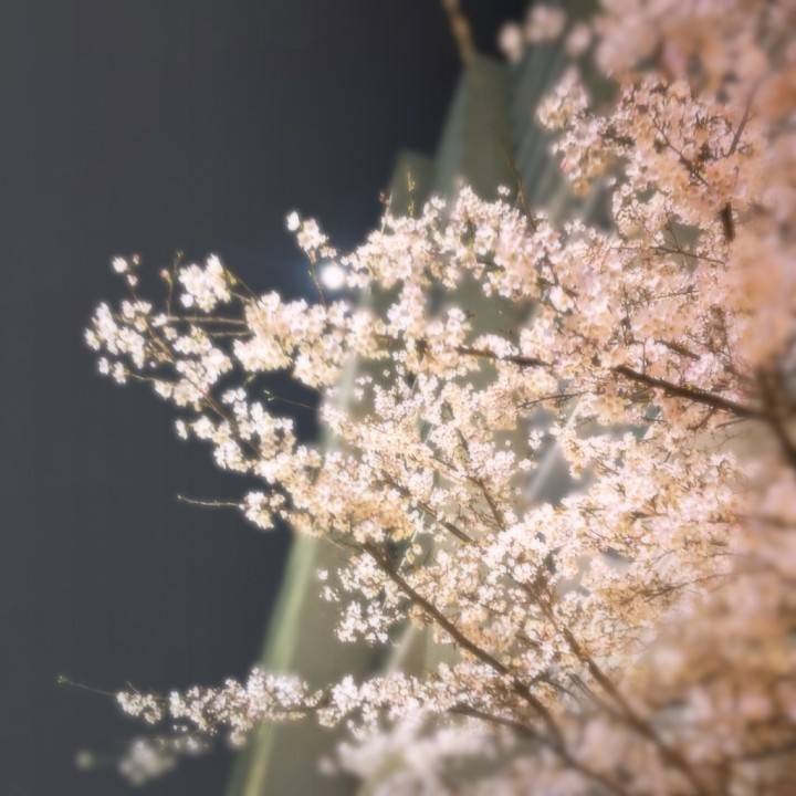 安らげる居場所をどうぞ