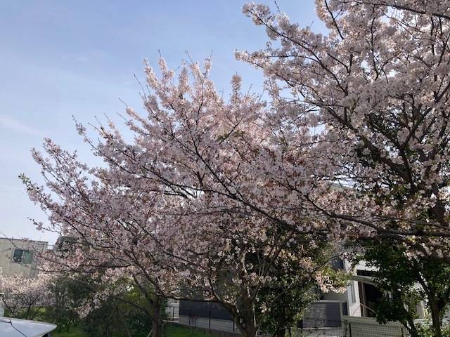 米子最終日☆