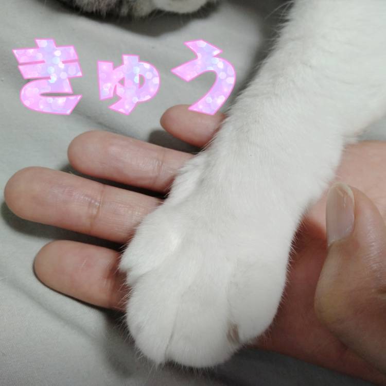 生きてますw