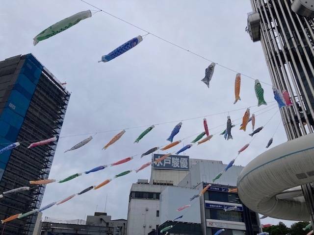 本日☆
