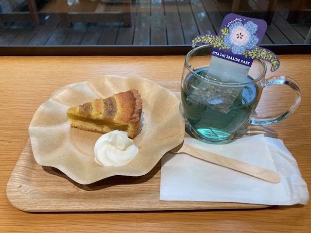 5月の予定☆