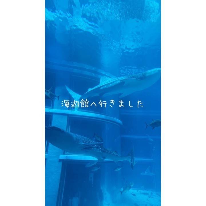 でっっっっかい