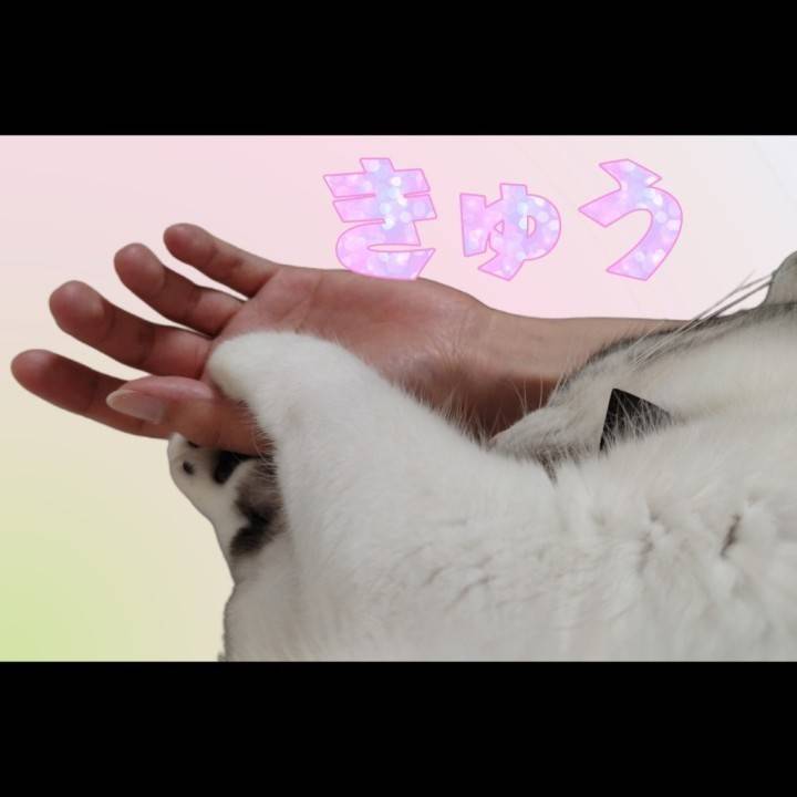 おててにぎにぎ