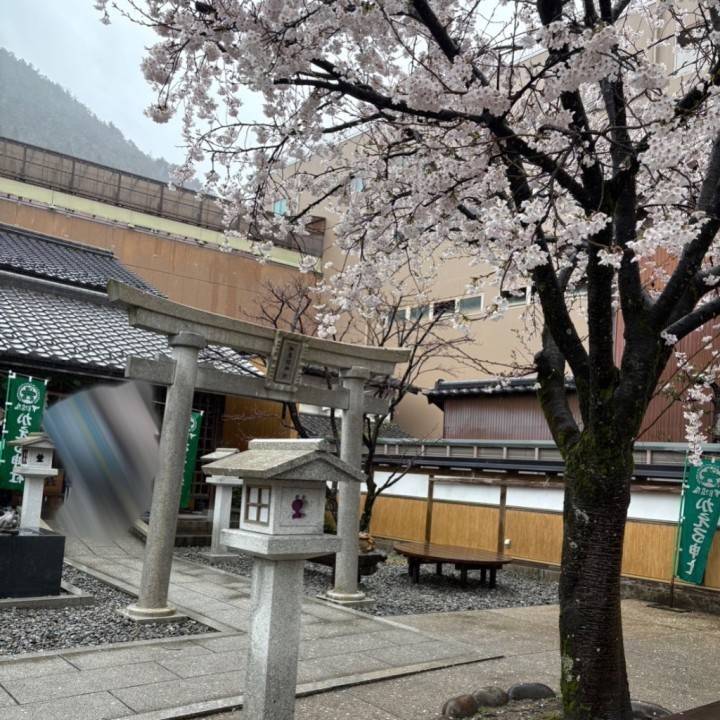 ?ケロケロ??