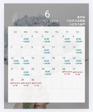 6月の予定