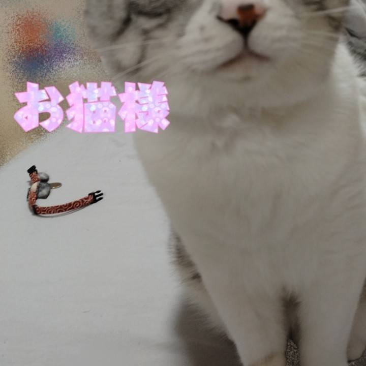 別人!?!?
