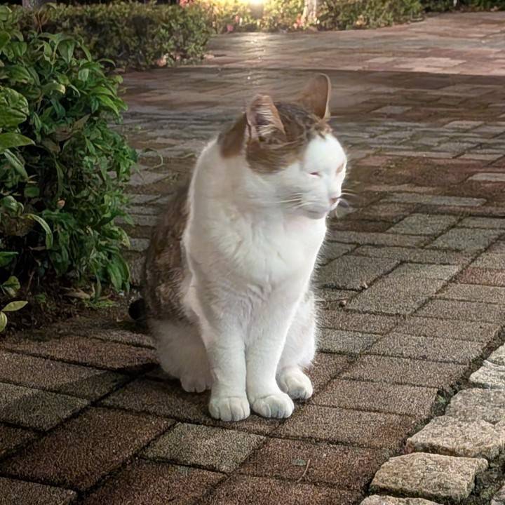 おはようございます?