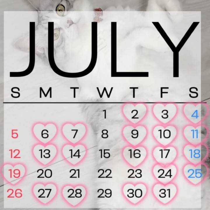 7月の予定っ??