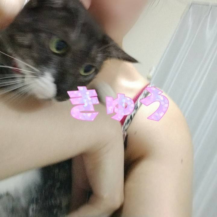 また逃げられる