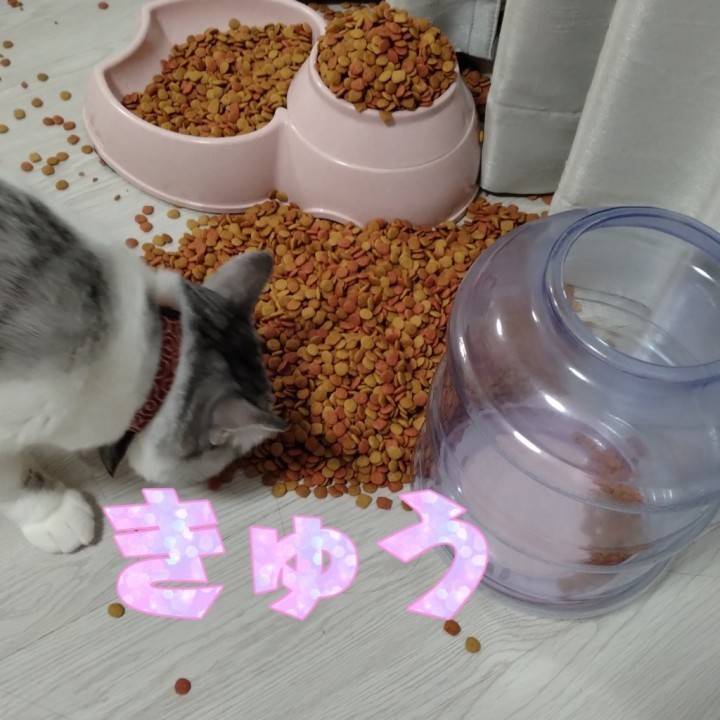 明日はお休み♪