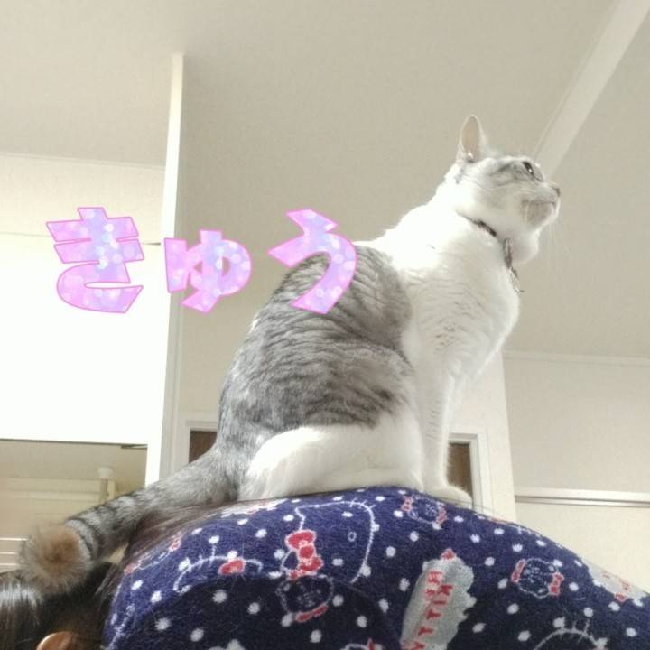神々しい