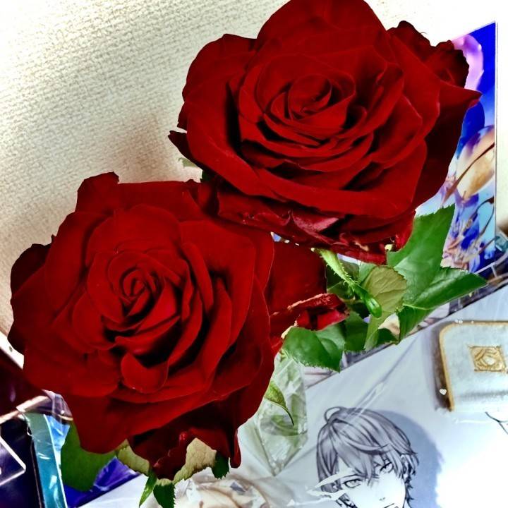 6月もありがとう
