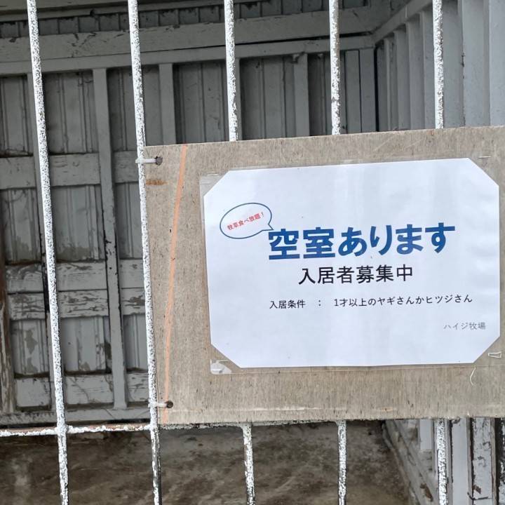 出勤です?
