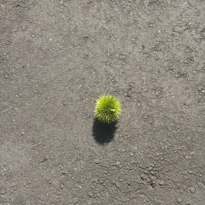 これはなぁに?