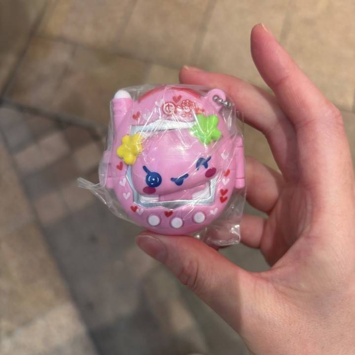 一期一会?