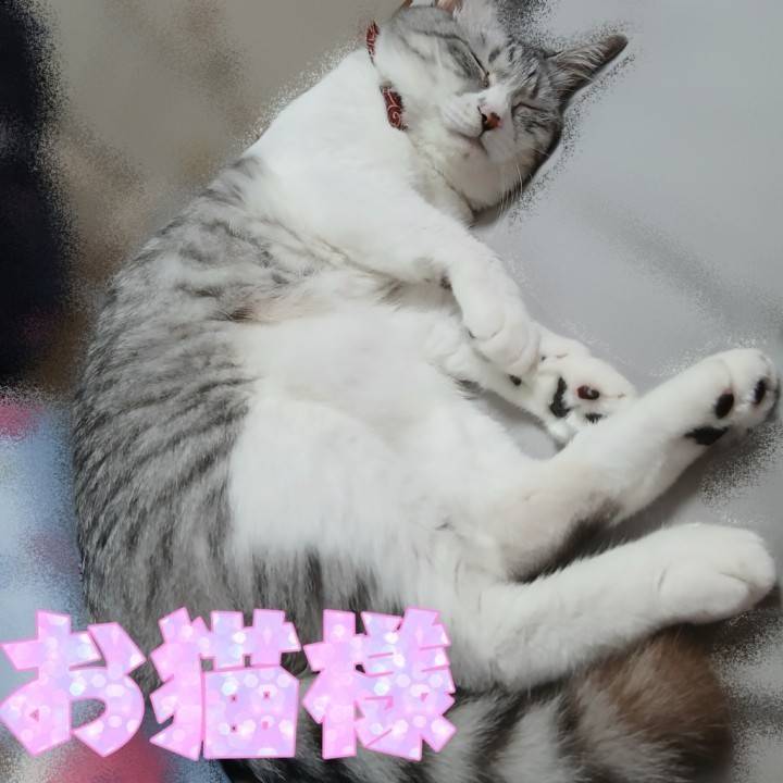 お酒弱かったの忘れてた