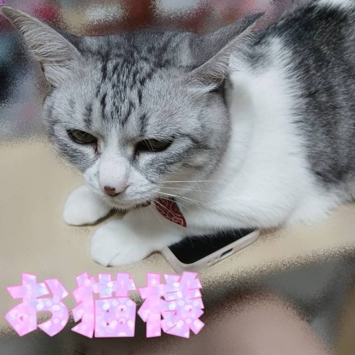 幸せな邪魔