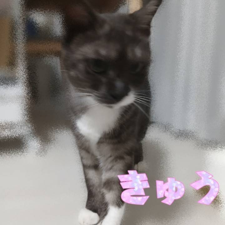 明日17時から♪