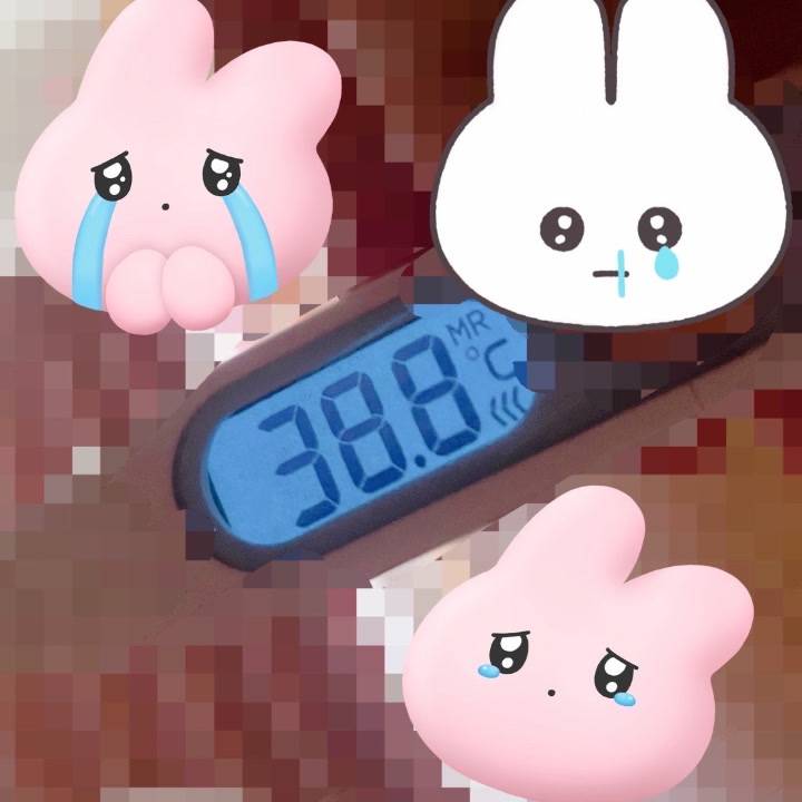 あわわぁ〜〜