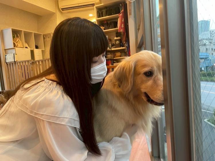 ありがとうと明日